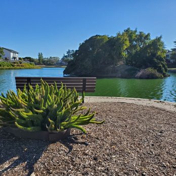 Lakeshore Park - One of the "islands" - Parks Near Me - Newark, California