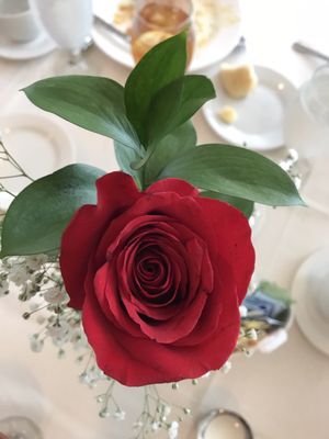 Lone Palm Golf Club by null