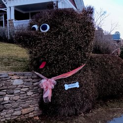Lake Junaluska Conference & Retreat Center - Cute hedge on a bordering property