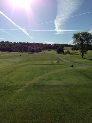 FREAR PARK Updated September 2025 11 Reviews 155 Oakwood Ave