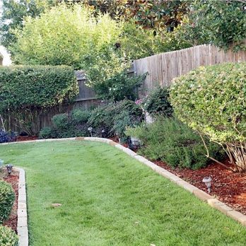 Gecko Green Lawn Care - Weeds were removed, and lawn was made healthy. - Tree Services Near Me - Irving, Texas Gecko Green Lawn Care - Weeds were removed, and lawn was made healthy. - Tree Services Near Me - Irving, Texas