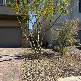 WestCo Tree Service - After - Tree Services Near Me WestCo Tree Service - After - Tree Services Near Me