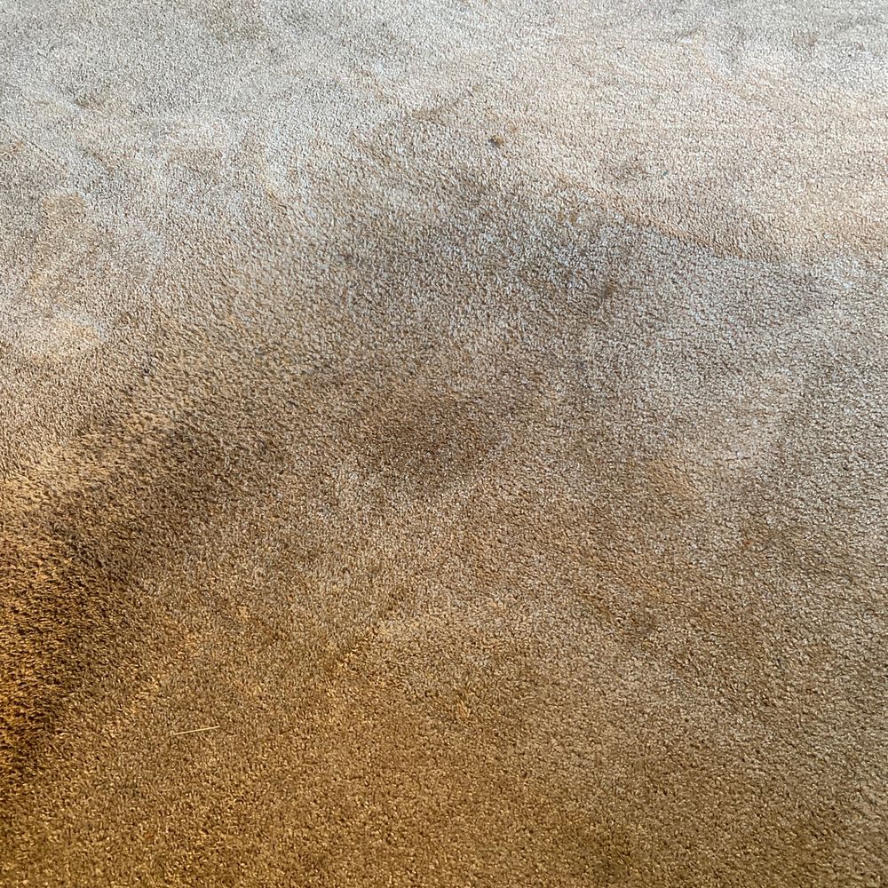Nichols Carpet Cleaning - There's no reason why this should be here. It's a pink lemonade stain... not wine... not coffee... - Carpet Cleaning Near Me - Dublin, California Nichols Carpet Cleaning - There's no reason why this should be here. It's a pink lemonade stain... not wine... not coffee... - Carpet Cleaning Near Me - Dublin, California