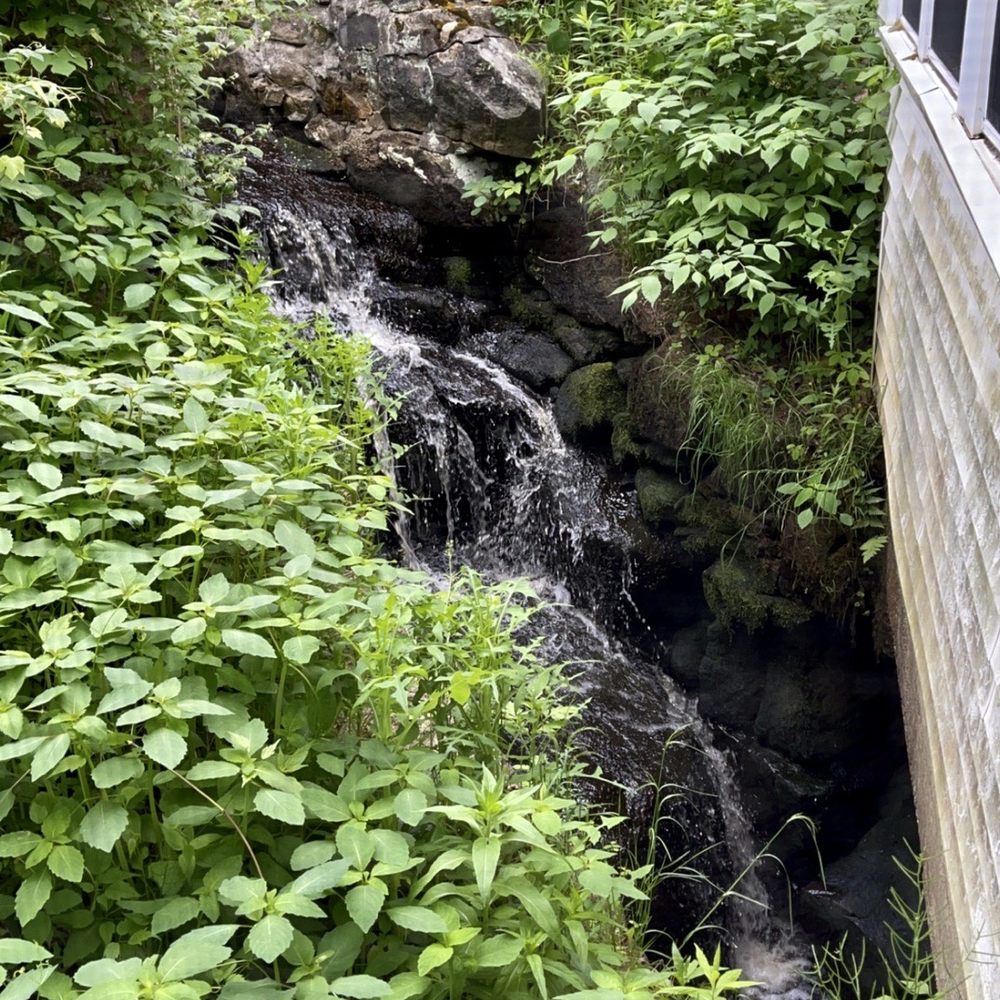 Breezy stream through the window