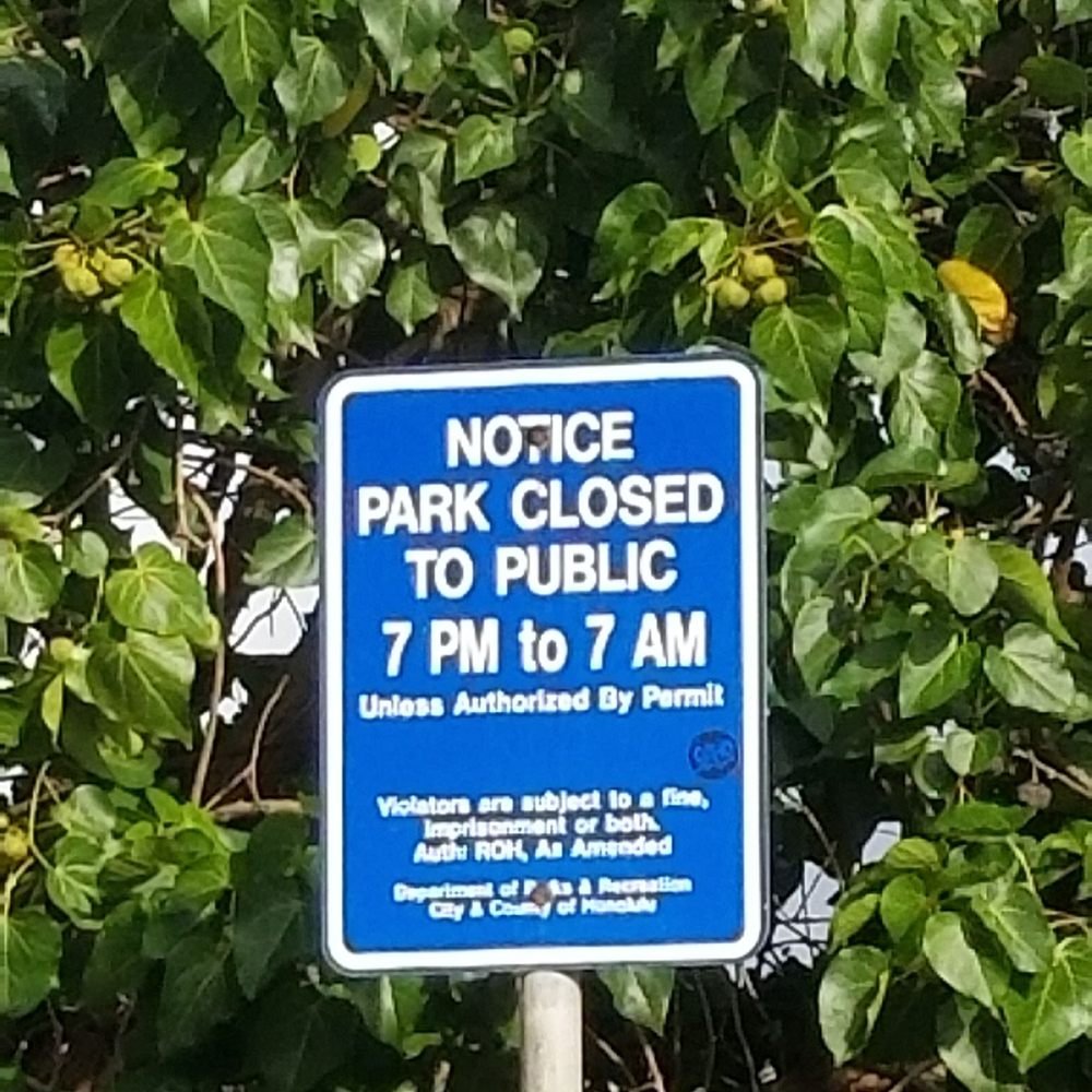 Kawainui Marsh Trail - Hiking Near Me - Kailua, Hawaii