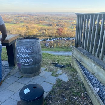 Bluemont Vineyard - Venues & Event Spaces Near Me - Bluemont, Virginia