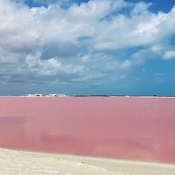 Pink Lagoon Las Coloradas