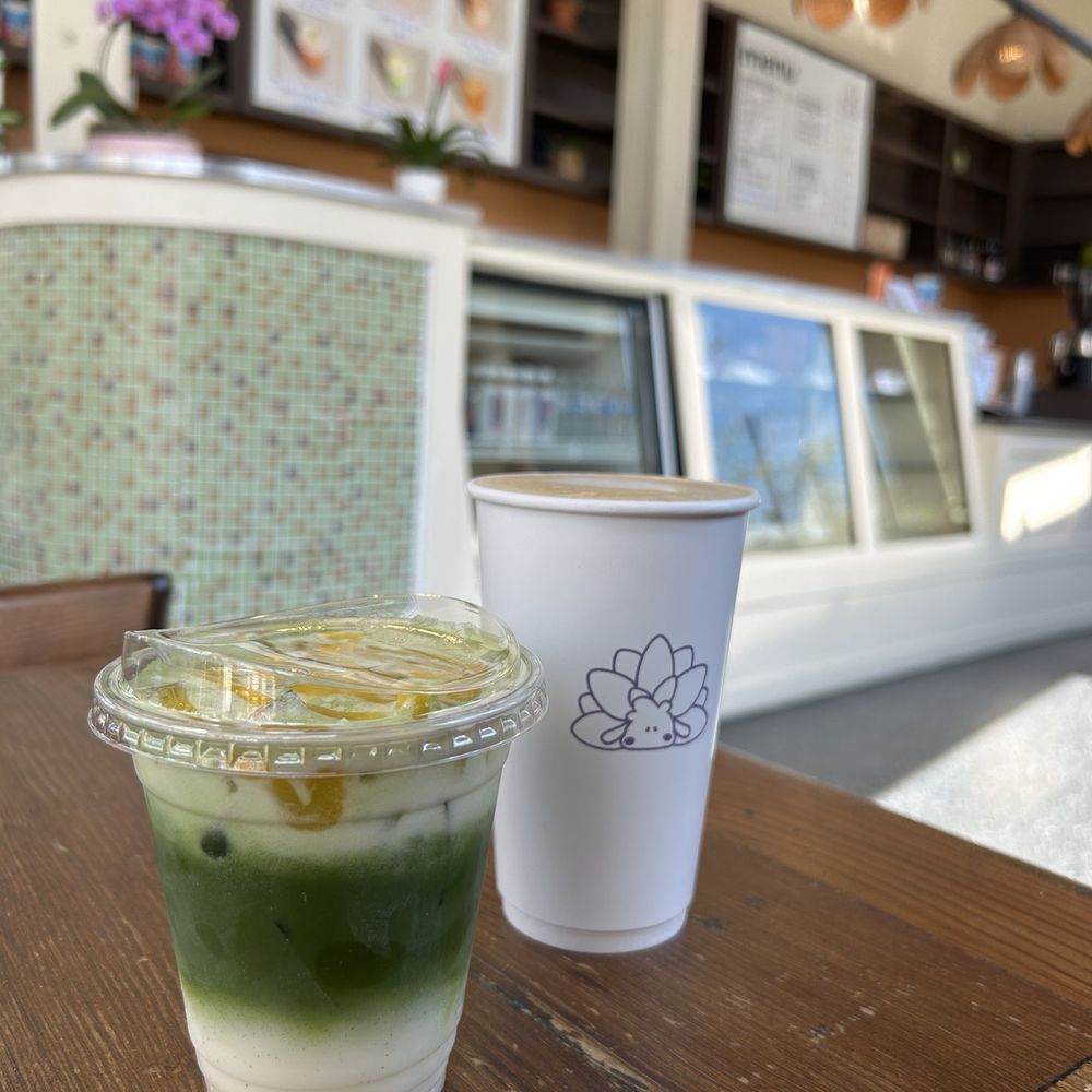 Nudibranch Coffee - Coffee & Tea Near Me - Seattle, Washington Nudibranch Coffee - Coffee & Tea Near Me - Seattle, Washington