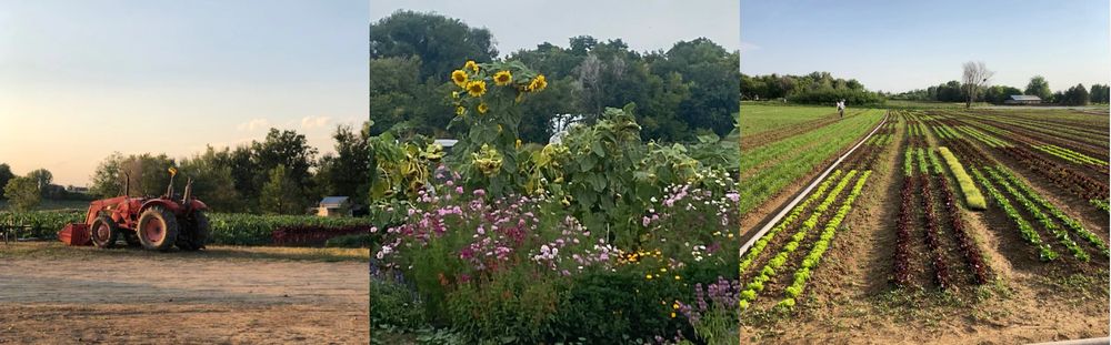 MASA Seed Foundation - social services organization in Boulder, CO