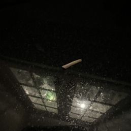 Bone from chicken nugget Bone from chicken nugget