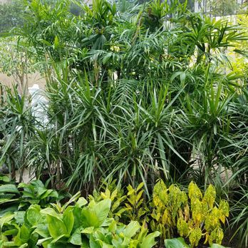 Oriental Nursery - Nurseries & Gardening Near Me - Diamond Bar, California