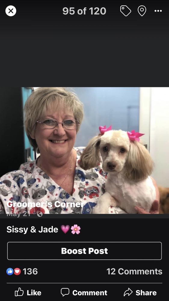 GROOMER’S CORNER CLOSED Updated September 2024 125 S Broadview