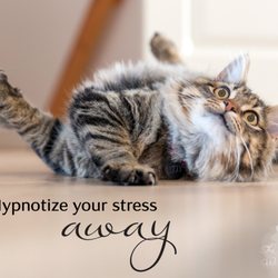 Ferry Hill Hypnosis - Find out how hypnosis can help with stress management.