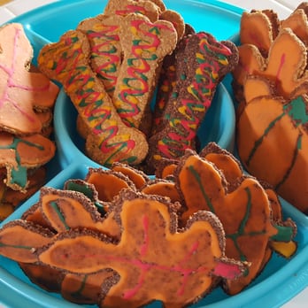 Sassy's Goodies - Frosted Large Treats - Pet Stores Near Me - Springfield, Missouri
