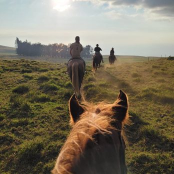 Paniolo Adventures - A perfect sized group! - Horseback Riding Near Me Paniolo Adventures - A perfect sized group! - Horseback Riding Near Me