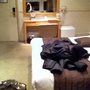 Photo of Brighton Hotels