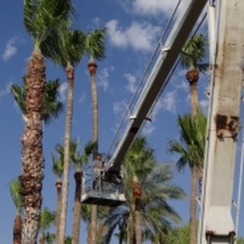 Leon's Tree Service - Tree Services Near Me - Tucson, Arizona Leon's Tree Service - Tree Services Near Me - Tucson, Arizona