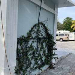 Gonzalez & Perez Landscaping - Planting walls