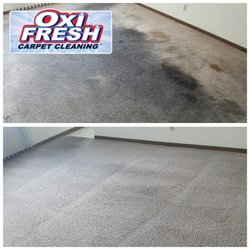 Oxi Fresh Carpet Cleaning