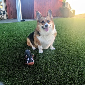 The Animal Keeper - Pet Sitting Near Me - Poway, California