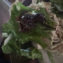 Just tortilla shell and lettuce