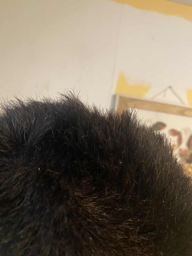 GREAT CLIPS Updated September 2024 10 Photos 4335 Hartley Bridge