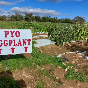 Alstede Farms - Fruits & Veggies Near Me - Chester, New Jersey