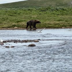 Alaska Ultimate Safaris