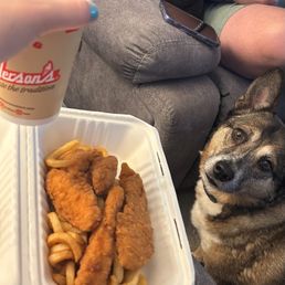 Buffalo Chicken Tender Sandwich Buffalo Chicken Tender Sandwich