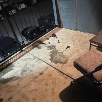 Gateway At Denton - Dog poop on the balcony - University Housing Near Me - denton, Texas