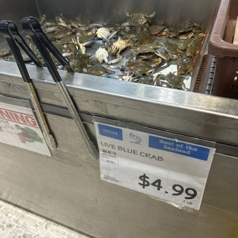H Mart - Suwanee - Live Blue Crab - Grocery Near Me - Suwanee, Georgia