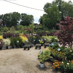 Willo'dell Nursery