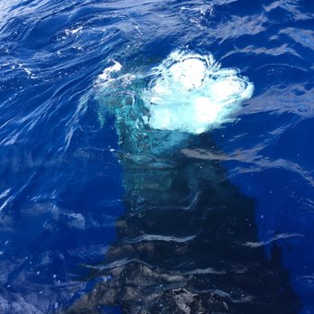 Makai Adventures - Amazing bubbles - Boat Charters Near Me - Lahaina, Hawaii Makai Adventures - Amazing bubbles - Boat Charters Near Me - Lahaina, Hawaii