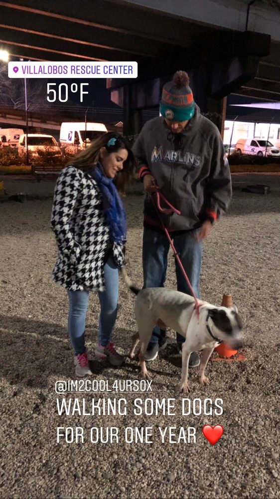 VILLALOBOS RESCUE CENTER 82 Photos & 62 Reviews 4525 N Galvez St