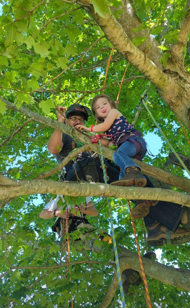 Old Glory Tree - tree service in Lexington, KY