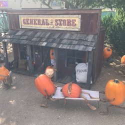 Enchanted Pumpkin Garden
