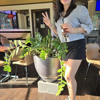 Boba Island - Coffee & Tea Near Me - Houston, Texas Boba Island - Coffee & Tea Near Me - Houston, Texas