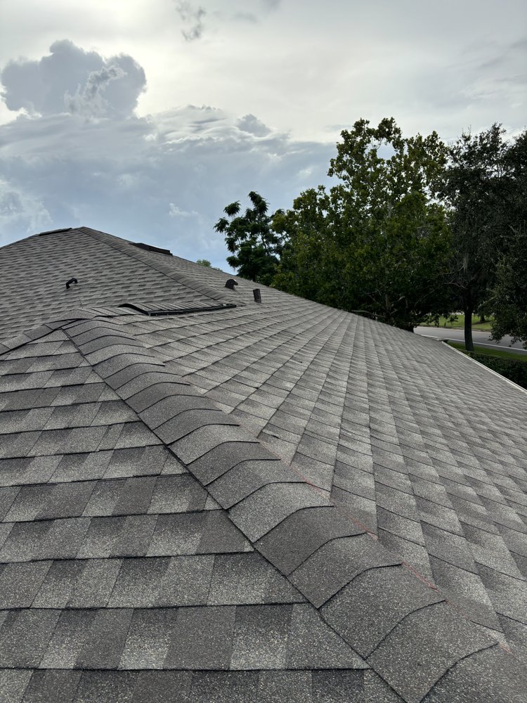 Slide of Swamp Roofing