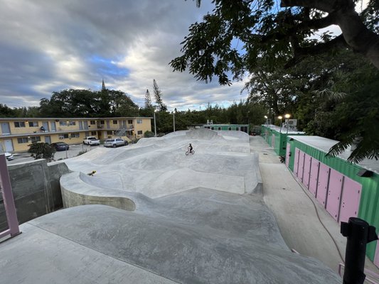 Skatebird Miami by null