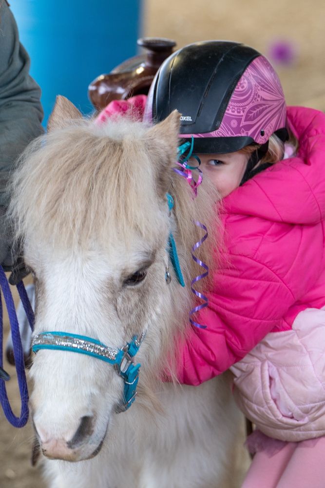 Oregon Dream Ponies - equestrian in Newberg, OR