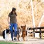 Photo of The Precious Pack