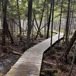 Thorne Swift Nature Preserve