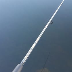 Pigeon Lake Resort