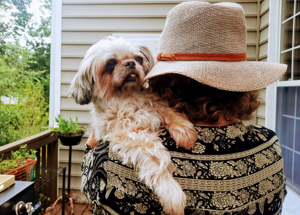 TRIANGLE VETERINARY HOSPITAL Updated August 2024 20 Photos & 46