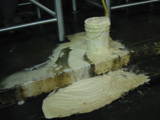 Speakeasy Ales & Lagers by null