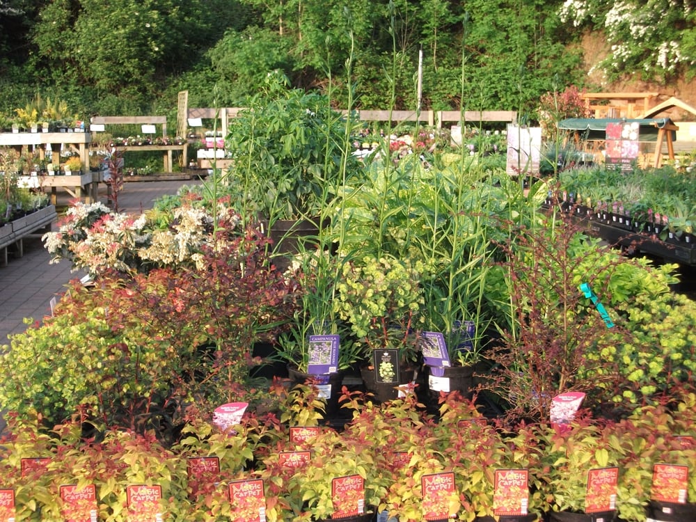 TROWELL GARDEN CENTRE Updated August 2024 Stapleford Road