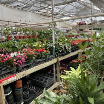Fifth Avenue Greenhouses - Florists Near Me - Fort Worth, Texas Fifth Avenue Greenhouses - Florists Near Me - Fort Worth, Texas