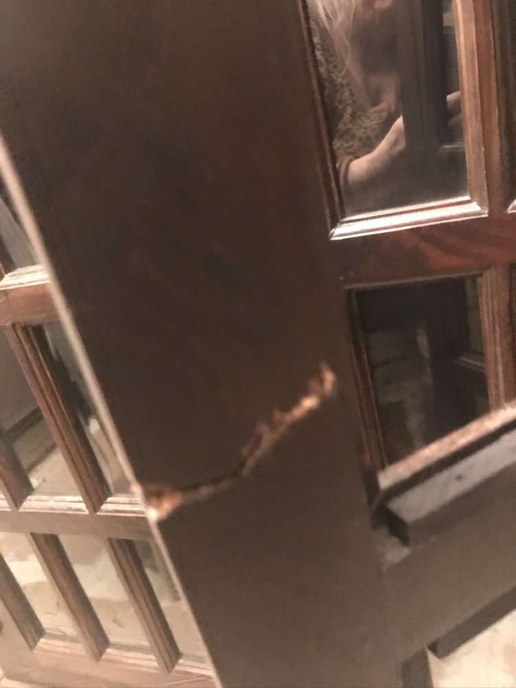 DOLLY Updated October 2024 27 Photos & 63 Reviews San Diego