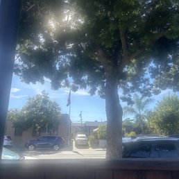 View from their patio