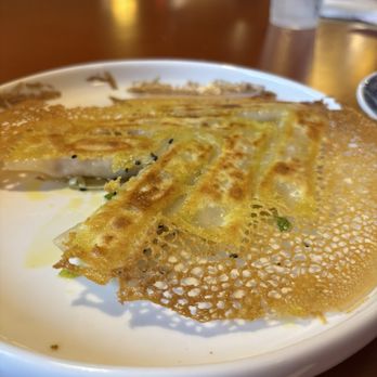 Chen’s Duck and Dumplings - Fried potstickers - Chinese Near Me - Lakeland, Florida Chen’s Duck and Dumplings - Fried potstickers - Chinese Near Me - Lakeland, Florida